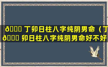 🐅 丁卯日柱八字纯阴男命（丁 🐛 卯日柱八字纯阴男命好不好）